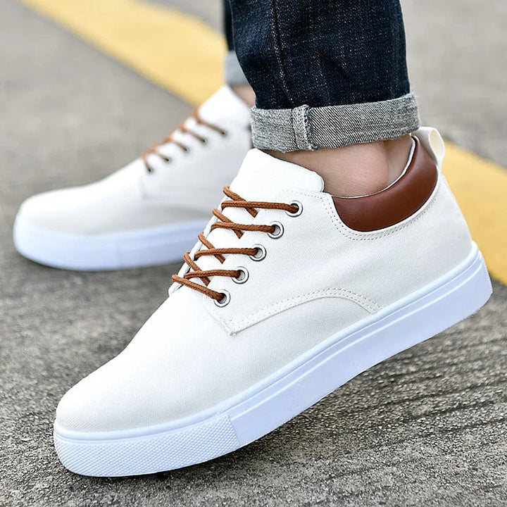 Brixton | Canvas Contrast Collar Lace-Up Casual Sneakers Mens Shoes